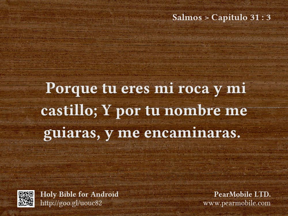 Salmos, Capítulo 31:3